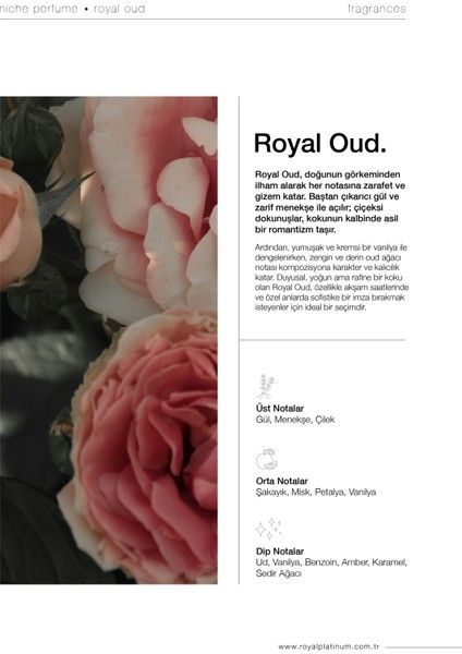Royal Oud 100 ml Parfüm
