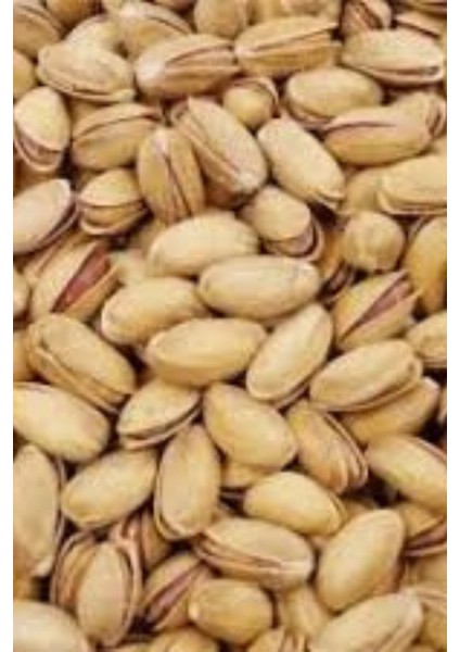 Antep Fıstığı jumbo 400 gr fiyatları
