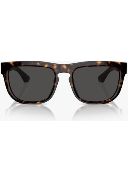 0BE4431U 300287 - Dark Havana Unisex Güneş Gözlüğü modelleri