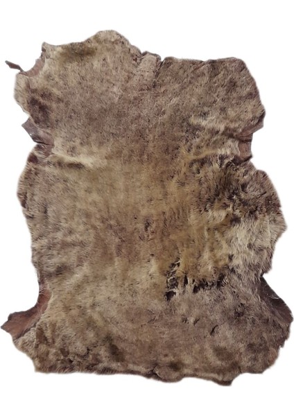 Gerçek Koyun Postu - Naturel - Kısa Tüylü - Doğal - 65X50 cm - Çok Renkli - L8