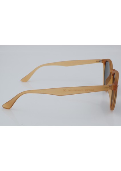 SS 244 C290 51 - 01 Güneş Gözlüğü fırsatları