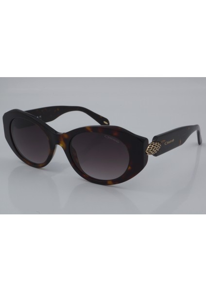 OS 3802 C2 52 - 01 Güneş Gözlüğü fiyatları