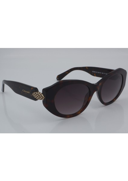 OS 3802 C2 52 - 01 Güneş Gözlüğü modelleri