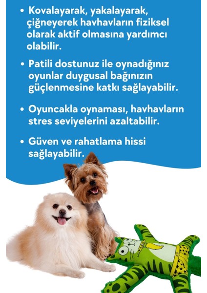 Mihav Vikvik Sesli Köpek Oyuncağı Yeşil Renkli Kedi Şekilli Köpek Aktivite Oyuncağı fırsatları