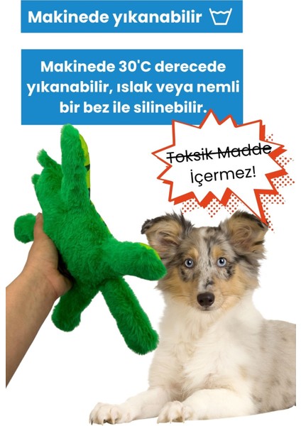 Mihav Vikvik Sesli Köpek Oyuncağı Yeşil Renkli Kedi Şekilli Köpek Aktivite Oyuncağı indirimleri
