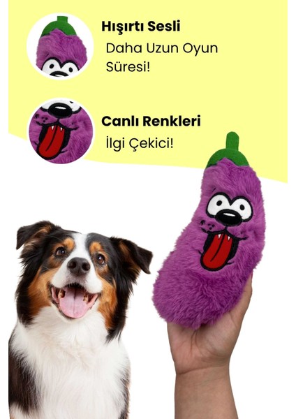 Tombik Patlıcan Köpek Oyuncağı Mor Renkli Hışırtı Sesli Peluş Köpek Oyuncağı Köpek Uyku Arkadaşı fiyatları