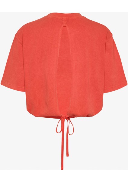 Cropped Gmd Script Open Back.sn6