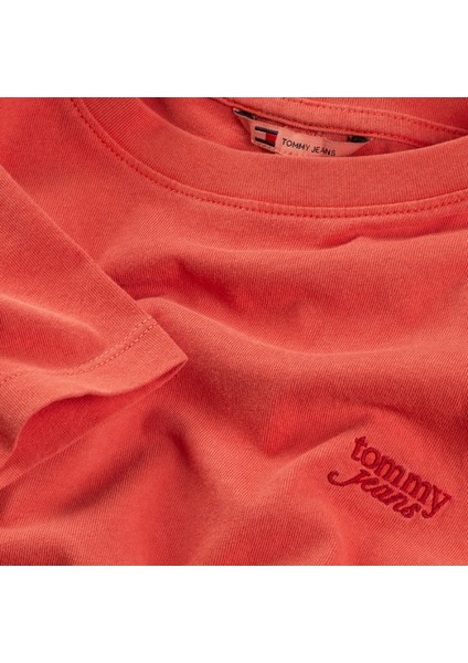 Cropped Gmd Script Open Back.sn6