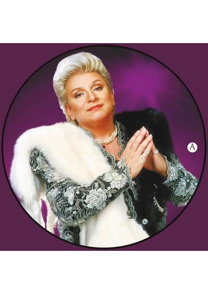 Zeki Müren - Batmayan Güneş (Numaralı Picture Plak )
