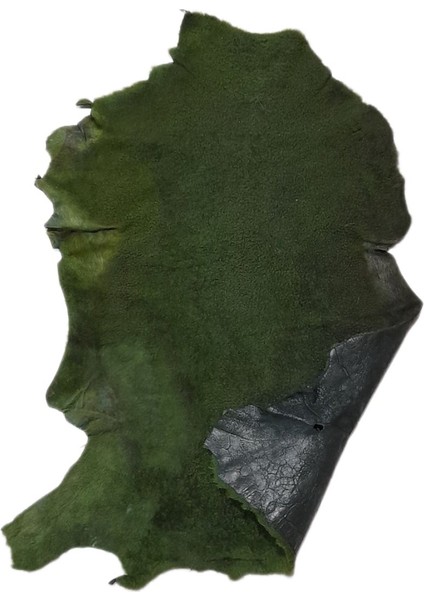Gerçek Koyun Postu - Naturel - Kısa Tüylü - Doğal - 65X40 cm - Koyu Yeşil - N8