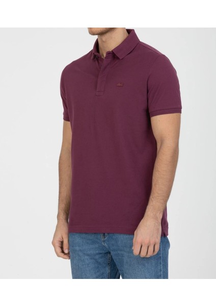 Polo Paris Regular Fit Mürdüm