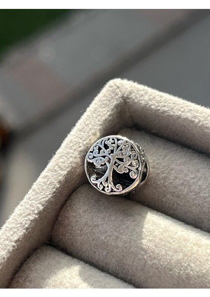 Aile Ağacı Charm
