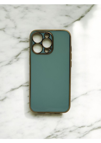 Iphone 13 Pro Uyumlu Parlak Gold Detaylı Bark Telefon Kılıfı