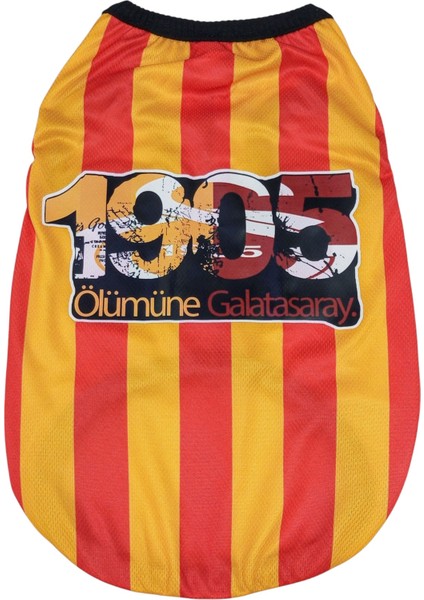 Isim Yazılabilen 1905 Tasarımlı Kedi ve Köpek Forması