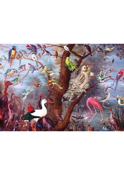 Fascinating Birds 2000 Parça Puzzle -Ks Puzzle