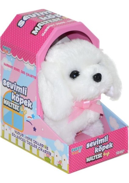 47100 Sevimli Köpek Maltese -Sunman.glpzr