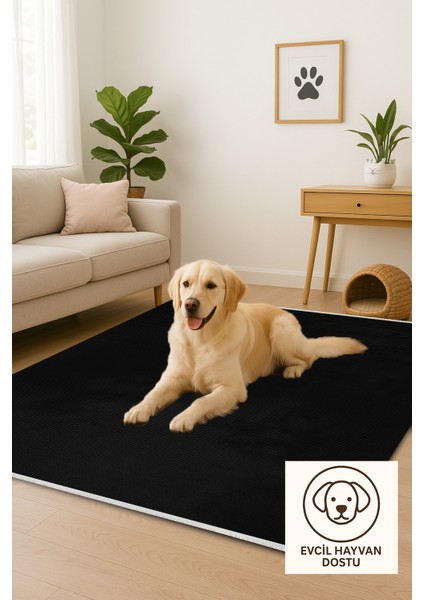 Lofy Halı Tek Renk Siyah Salon Halısı Kaymaz Taban 160X230 indirimleri