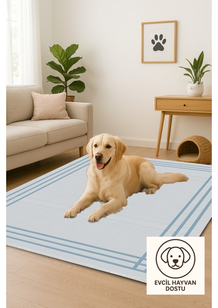 Lofy Halı Minimal Buz Mavi Salon Halısı Kaymaz Taban 160X230 cm fırsatları