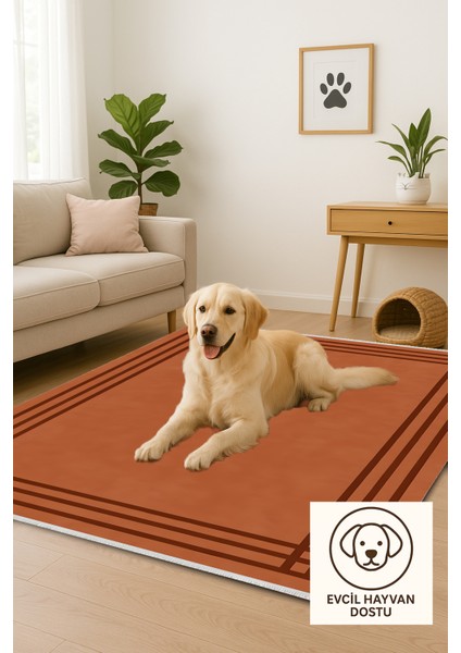 Lofy Halı Kaymaz Taban Tarçın Renk Modern Halı 160X230 cm indirimleri