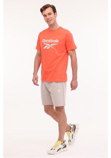 New Id Reg Short Gri Erkek Şort