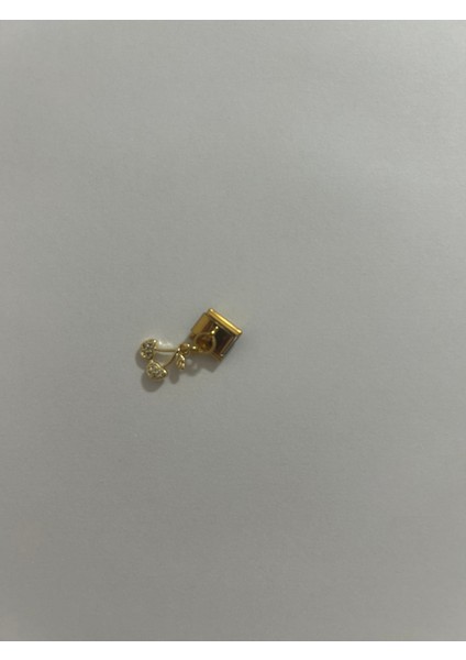 Badelis Çelik Gold Kiraz Figürlü Çharm