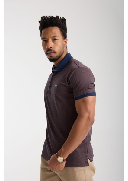 Polo Çizgili Kahverengi Regular Fit