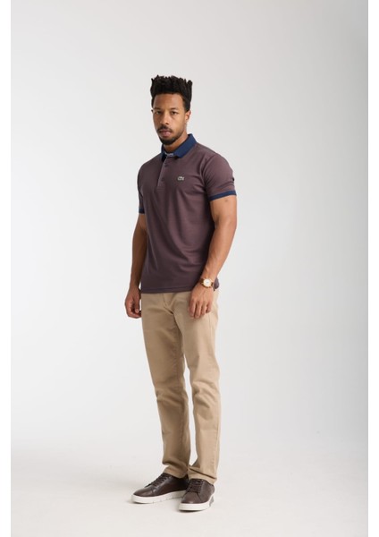 Polo Çizgili Kahverengi Regular Fit