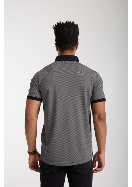 Polo Siyah Çizgili Regular Fit