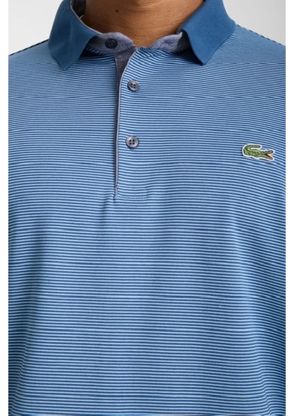 Polo Mavi Çizgili Regular Fit