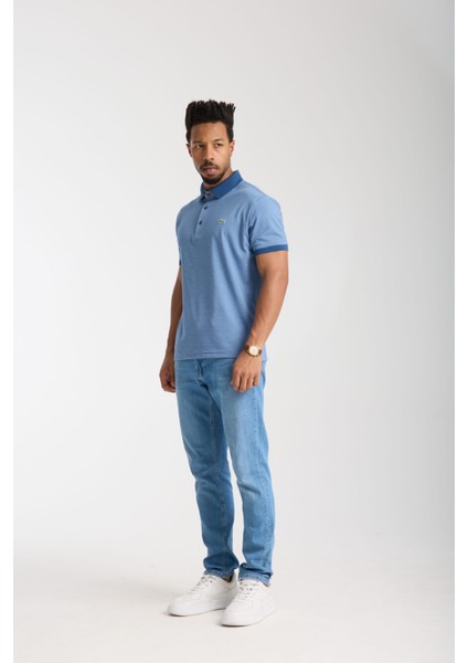 Polo Mavi Çizgili Regular Fit
