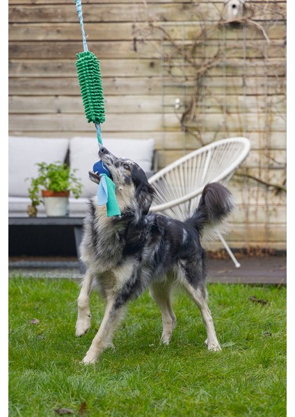 Köpek Oyuncağı, Tut Getir Tenis Toplu, Peluş, Mavi-Yeşil, 90X10X6CM Dpmah fırsatları