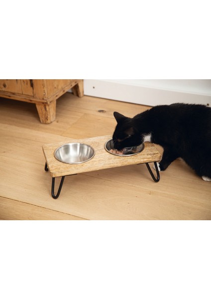 Dbl Kedi Ikili Mama ve Su Kabı, Paslanmaz Çelik, Beyaz, 31X16X10CM, 2X350ML Dpmah indirimleri