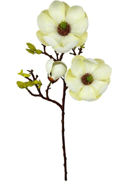 Yapay Çiçek Krem Eva Manolya 2 Çiçek 1 Tomurcuk Uzun Dal Çiçek Flowers 55CM Gerçeksi Doku