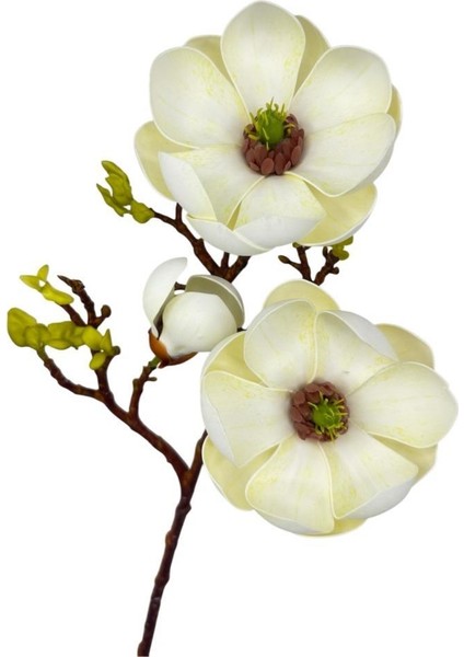 Yapay Çiçek Krem Eva Manolya 2 Çiçek 1 Tomurcuk Uzun Dal Çiçek Flowers 55CM Gerçeksi Doku
