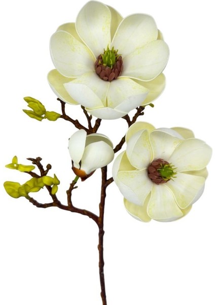 Yapay Çiçek Krem Eva Manolya 2 Çiçek 1 Tomurcuk Uzun Dal Çiçek Flowers 55CM Gerçeksi Doku