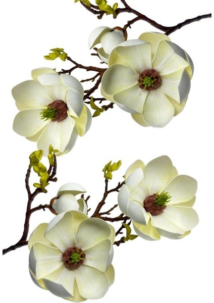 Yapay Çiçek Krem Eva Manolya 2 Çiçek 1 Tomurcuk Uzun Dal Çiçek Flowers 55CM Gerçeksi Doku