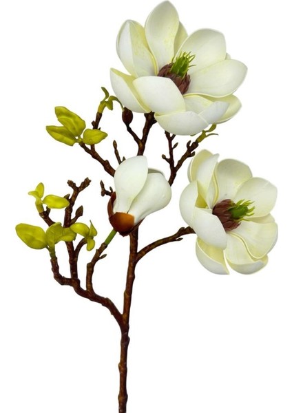 Yapay Çiçek Krem Eva Manolya 2 Çiçek 1 Tomurcuk Uzun Dal Çiçek Flowers 55CM Gerçeksi Doku