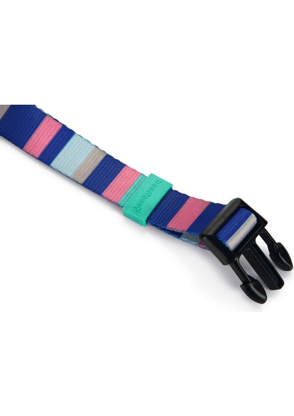 Köpek Boyun Tasması, Renkli Kalın Çizgiler, 48-70CM, 25MM Dpmah fiyatları