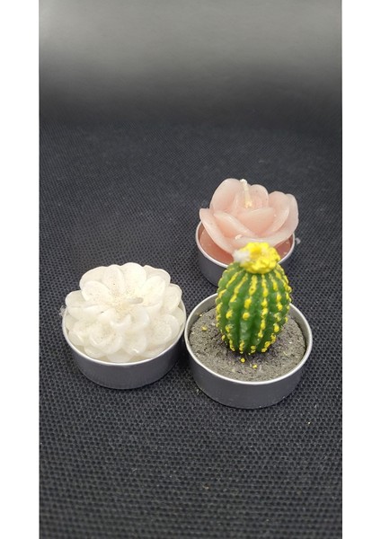 3'lü Tealight Minik Mum Metal Altlıklı Çiçek Kaktüs Aksesuar Ev Dekorasyon
