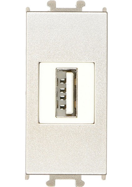 Domino Metalik Bej USB Data Prizi 1m