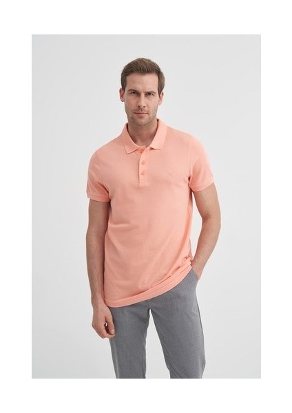 Erkek Tişört 25YCEEO04613