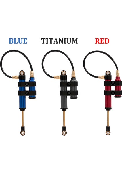 2 Adet Iç Yay Negatif Basınç Amortisör 100MM Metal Traxxas Hsp Redcat RC4WD Tamiya Eksenel Wraith SCX10 D90 Hpı Rc Paletli (Yurt Dışından)