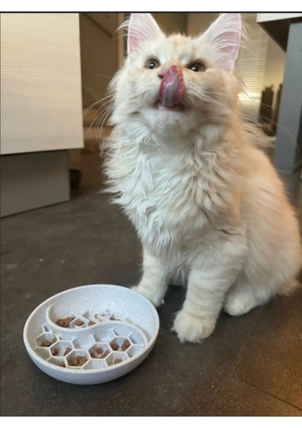 Kedi ve Köpekler Için Yavaş Mama Kabı - Eğlenceli Zeka Oyunu Tabak | Slow Feeder Mama Kasesi modelleri