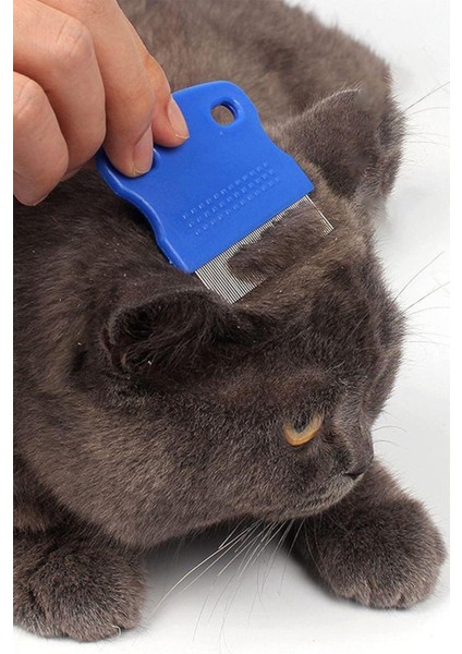 Mavi Kedi Köpek Bit Tarağı Kedi Bit Pire Tarağı Köpek Tarama Fırçası Kedi Tüyü Temizleme fiyatları