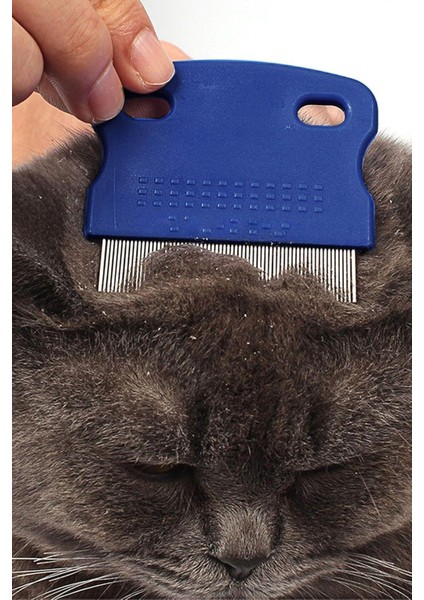 Mavi Kedi Köpek Bit Tarağı Kedi Bit Pire Tarağı Köpek Tarama Fırçası Kedi Tüyü Temizleme