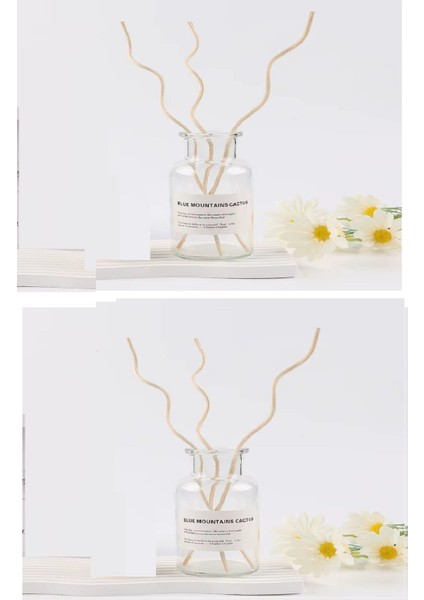 3 Tek Adet 3 Model Aromaterapi Koku Dağıtıcı Rattan Şişe Ahşap Difüzör Çubuk (Spiral-Yaprak-Dalgalı)