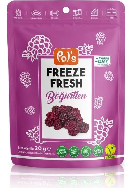 Pol’s Freeze Fresh Dondurularak Kurutulmuş Böğürtlen 20 gr