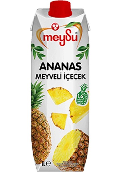 Meyve Nektarı 1 Lt x 4 Adet (Guava, Ananas, Mango, Karışık Meyve) Tek Ebat