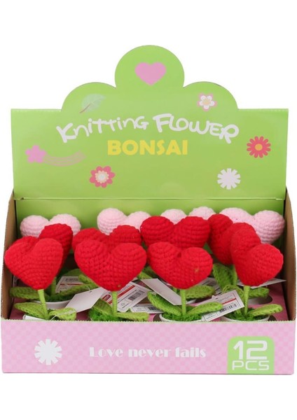 Fl-7 12Lİ Kroşe Örgü Saksıda Kalp -Birliktoys