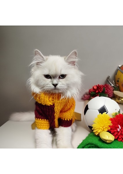 Kedi ve Köpek Için Sarı Kırmızı Galatasaray Yün Kazak